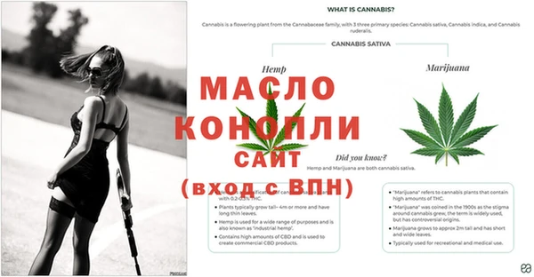 каннабис Алексин